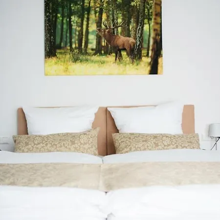 Auerhahn Nest Hotel Bad Wildbad