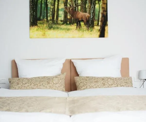 Auerhahn Nest Hotell Bad Wildbad