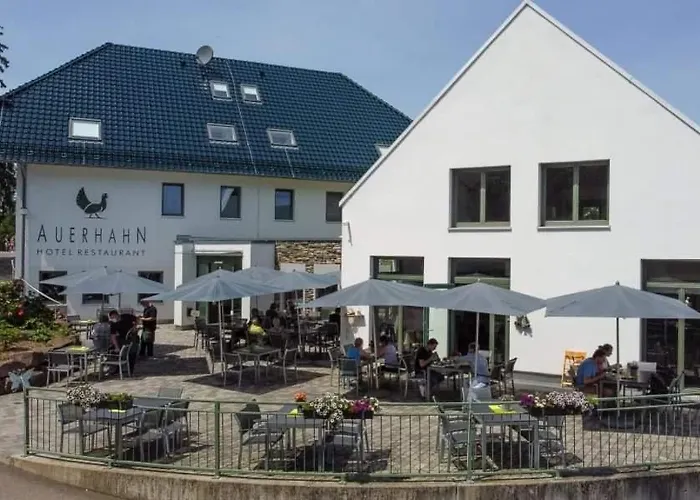 Auerhahn Nest Hotel